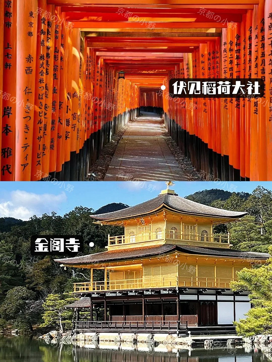 ⛩️攻略｜去了京都6次✈️一定要说的....
