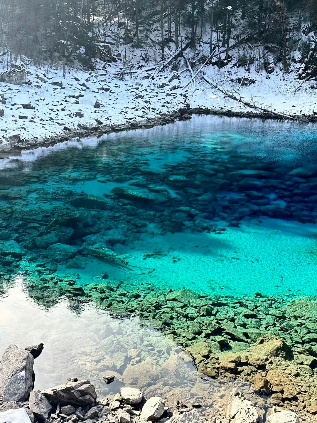 大学生穷游九寨，3天2夜只要780（高铁🚅往返