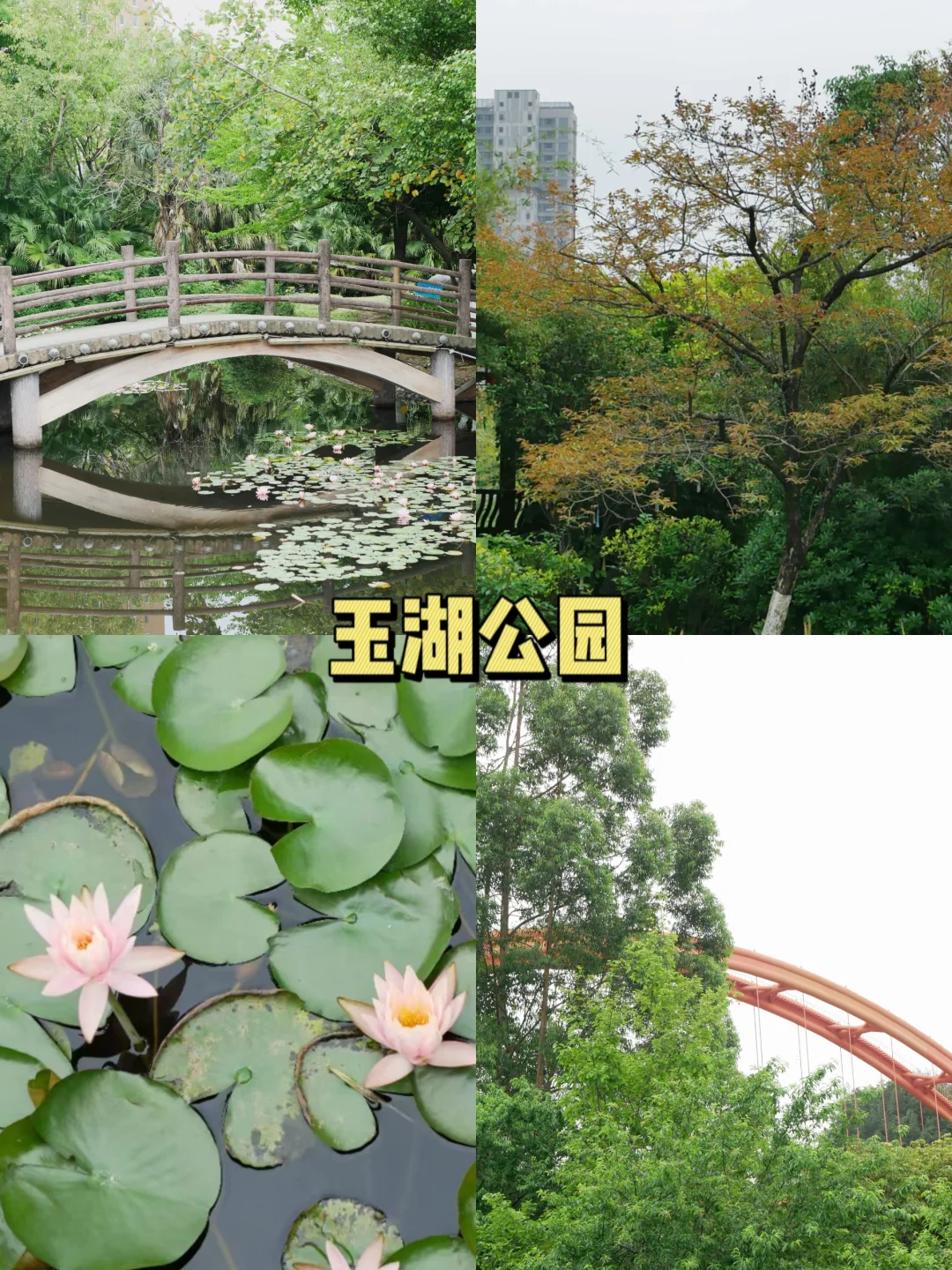 小莆田也有这么多值得一去的景点