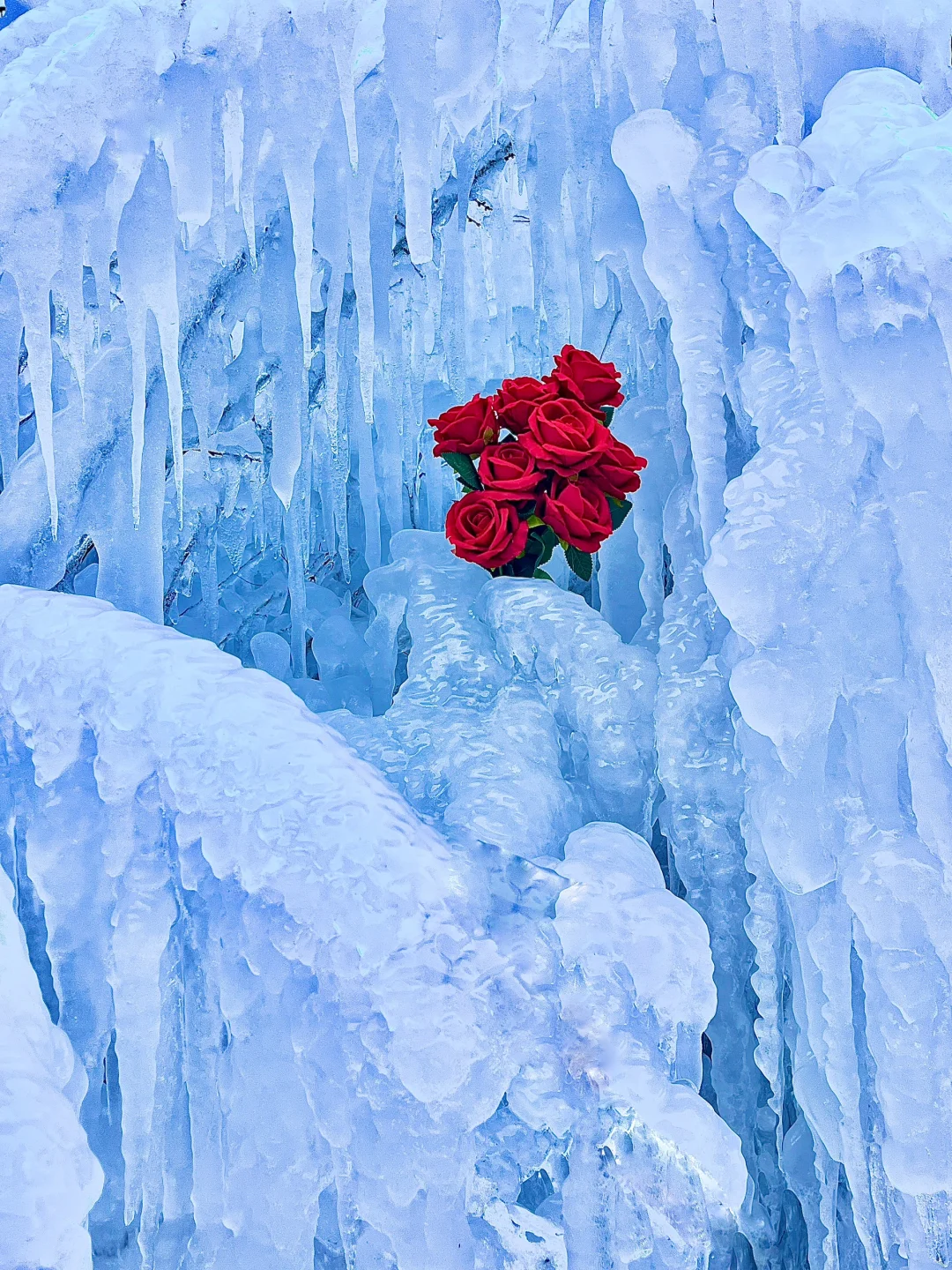 5A景区宝泉2025新年live实拍‼️