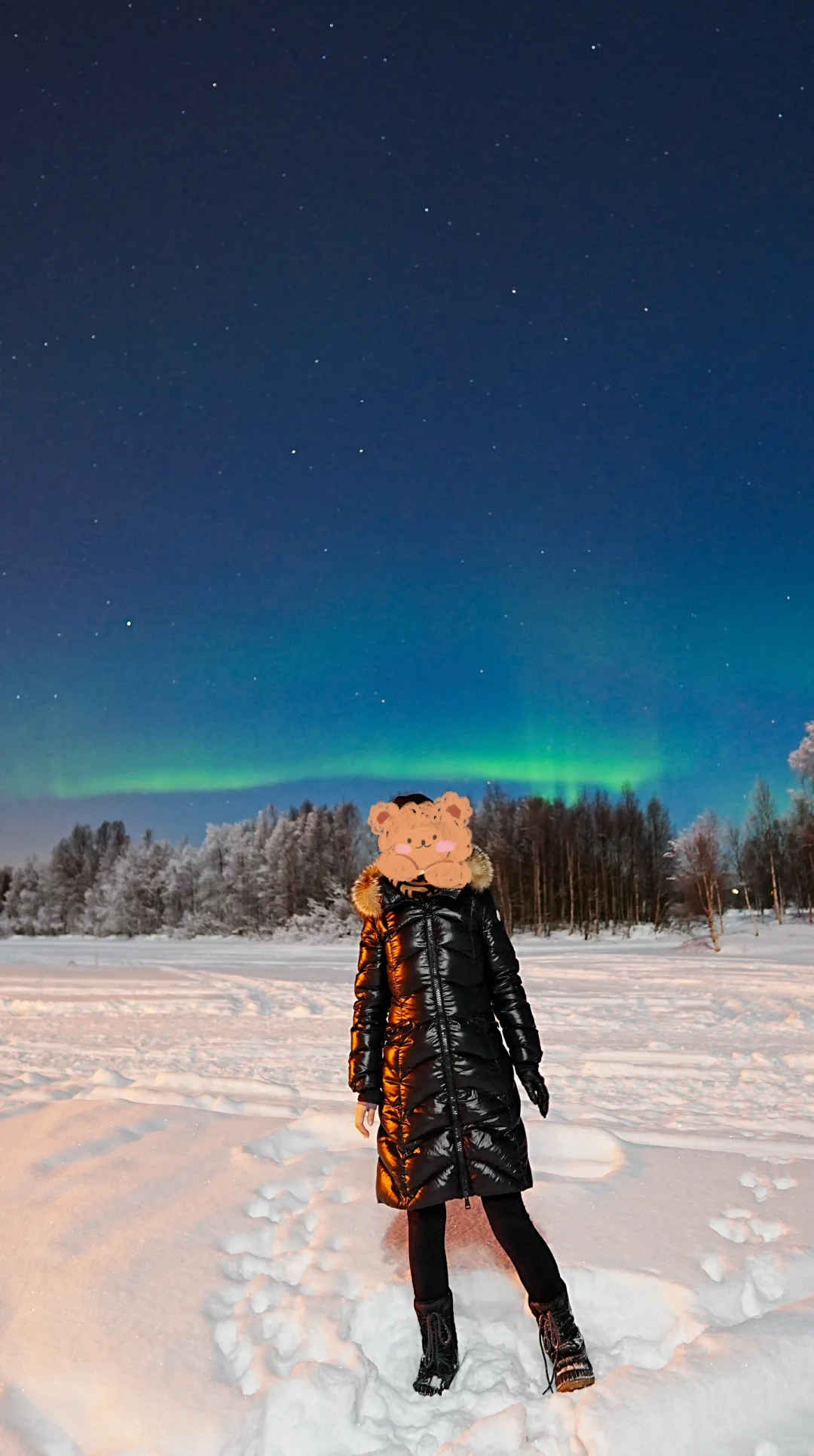 1月10号零下-28度追到的极光