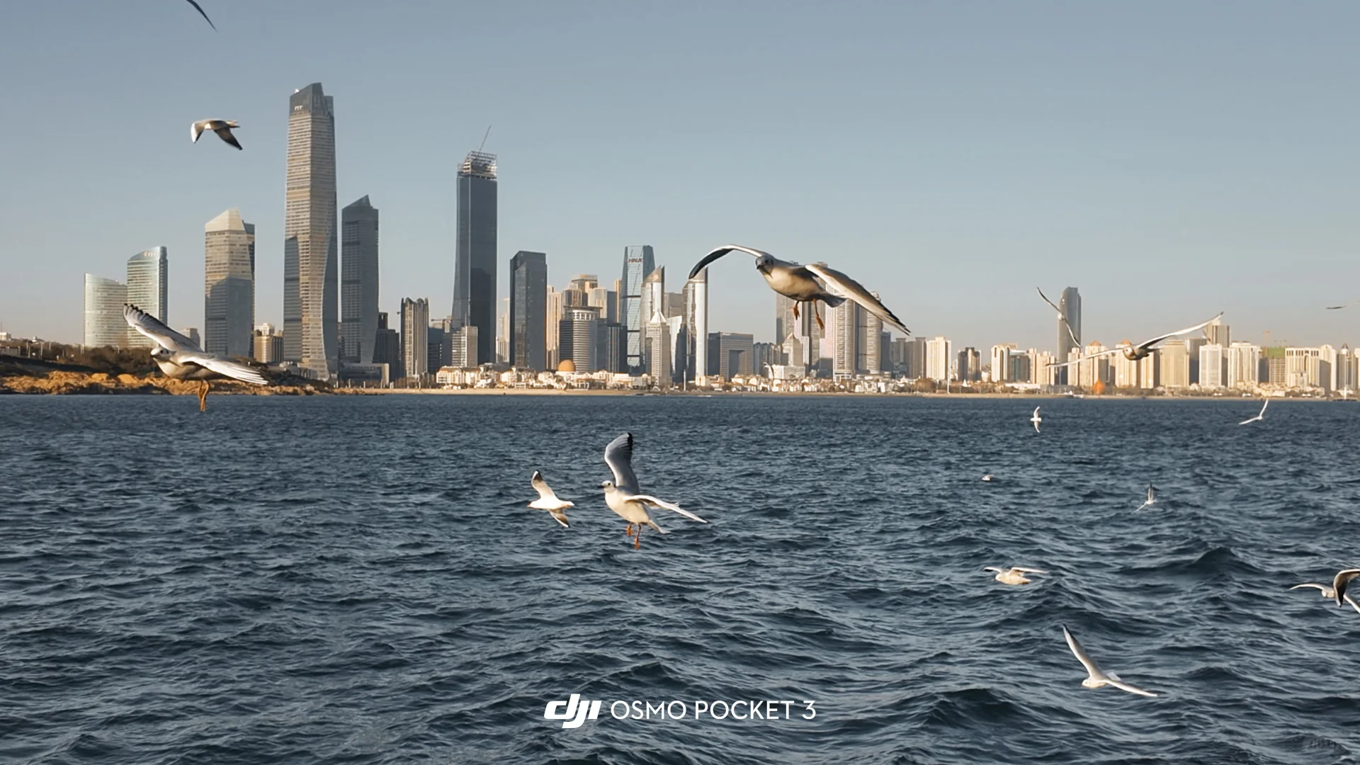 青岛五十块钱轮渡⛴️