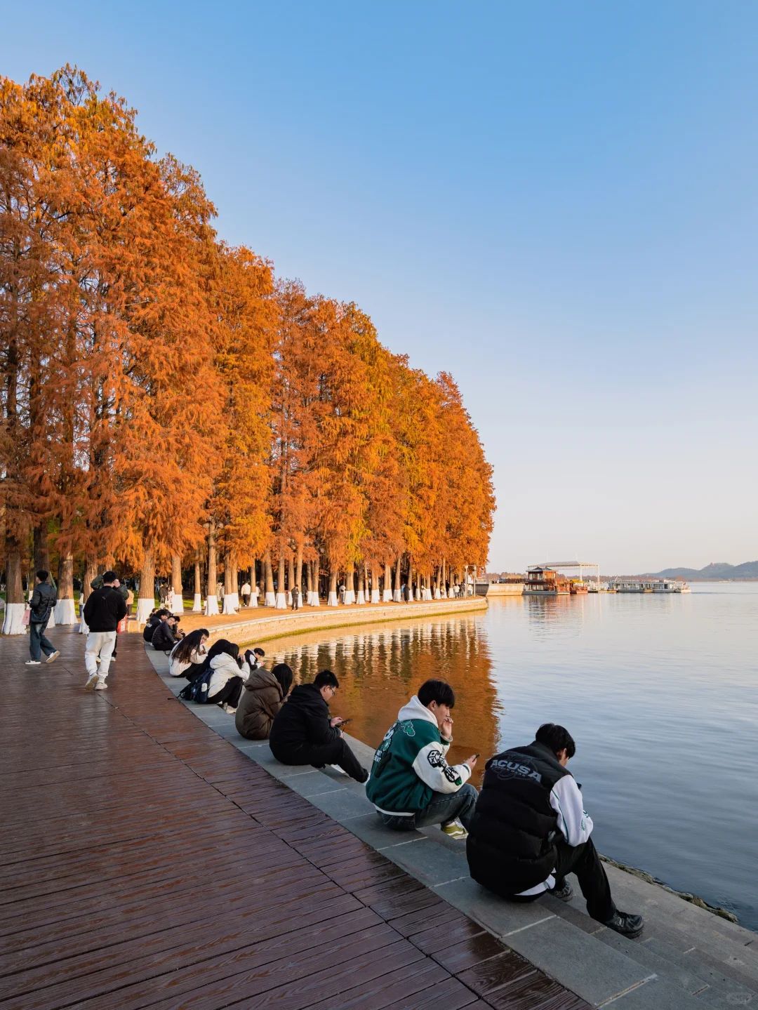 此刻🍁东湖这里水杉都红啦，美爆的不像话‼️