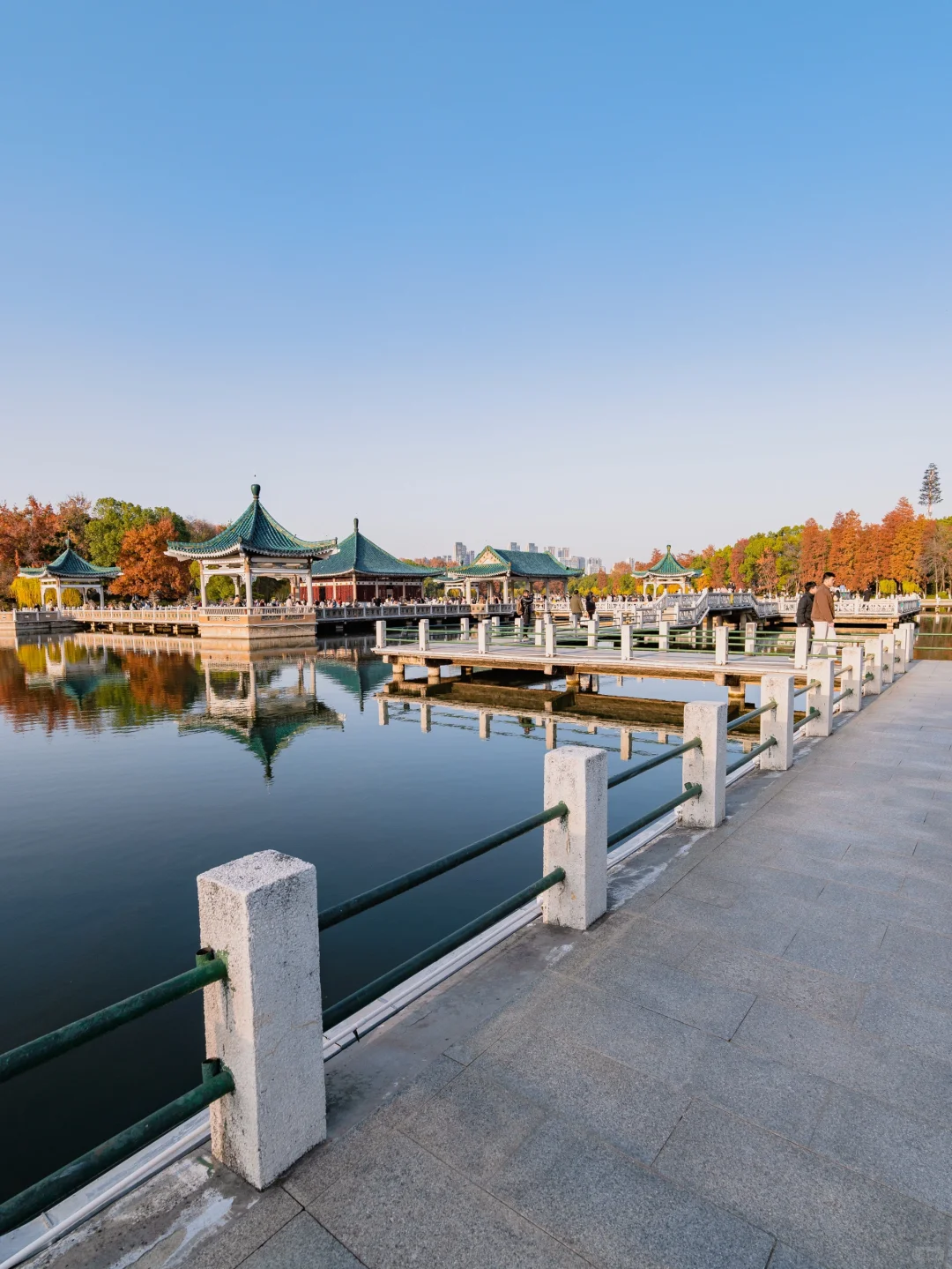 此刻🍁东湖这里水杉都红啦，美爆的不像话‼️