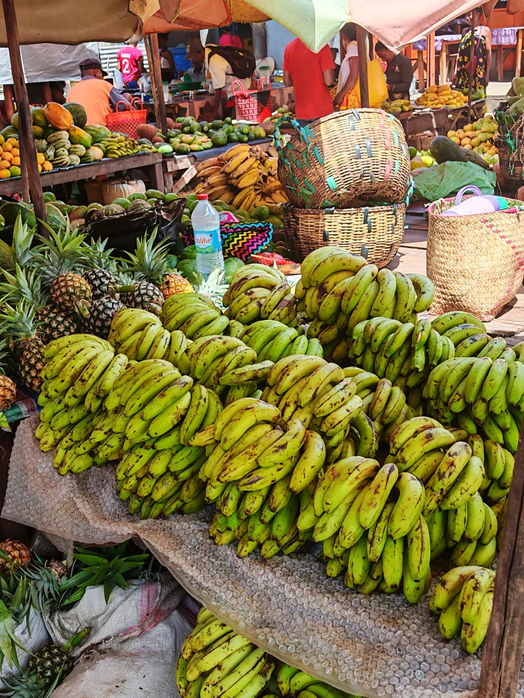 非洲深度猎奇游24