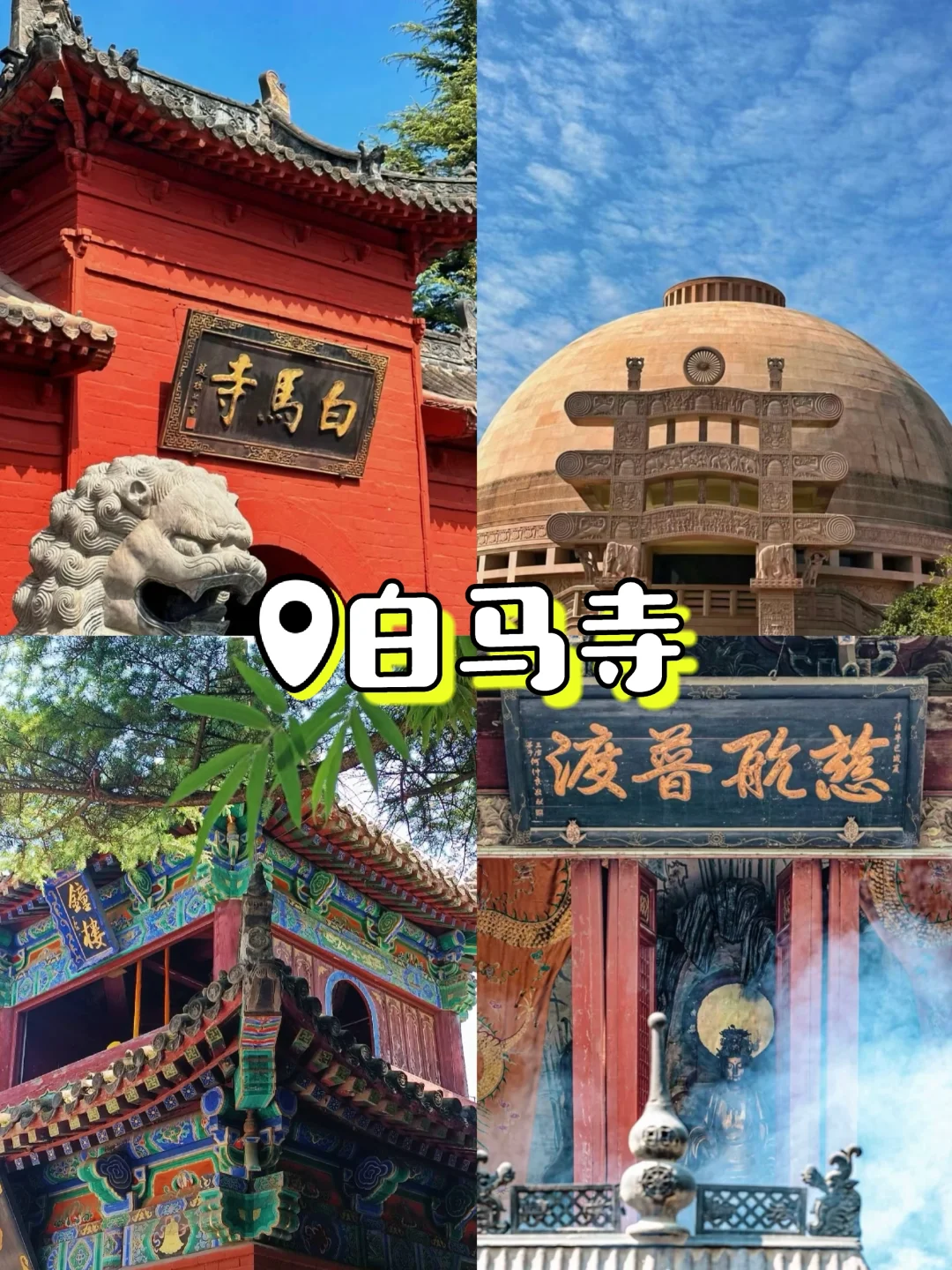 04女大寒假五日游📍洛阳｜洛阳旅游攻略❗️