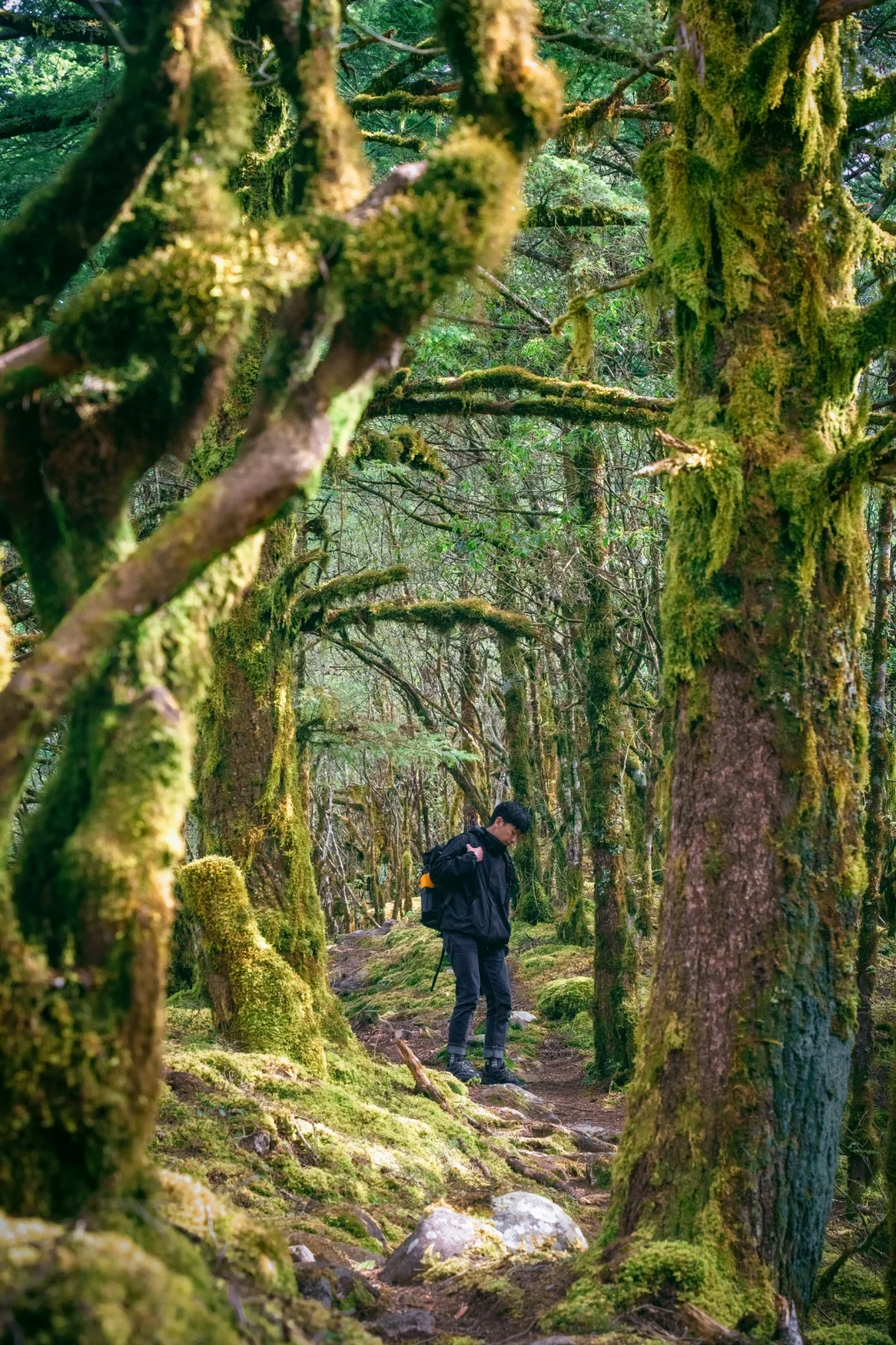 24年徒步过，国内9个震撼我的小众户外秘境