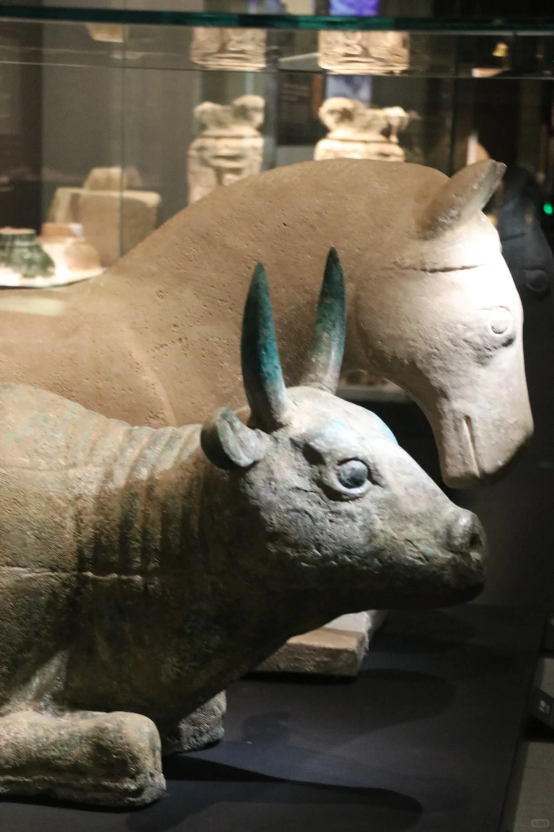 岁月失语：从历史长河中走出的西夏王陵