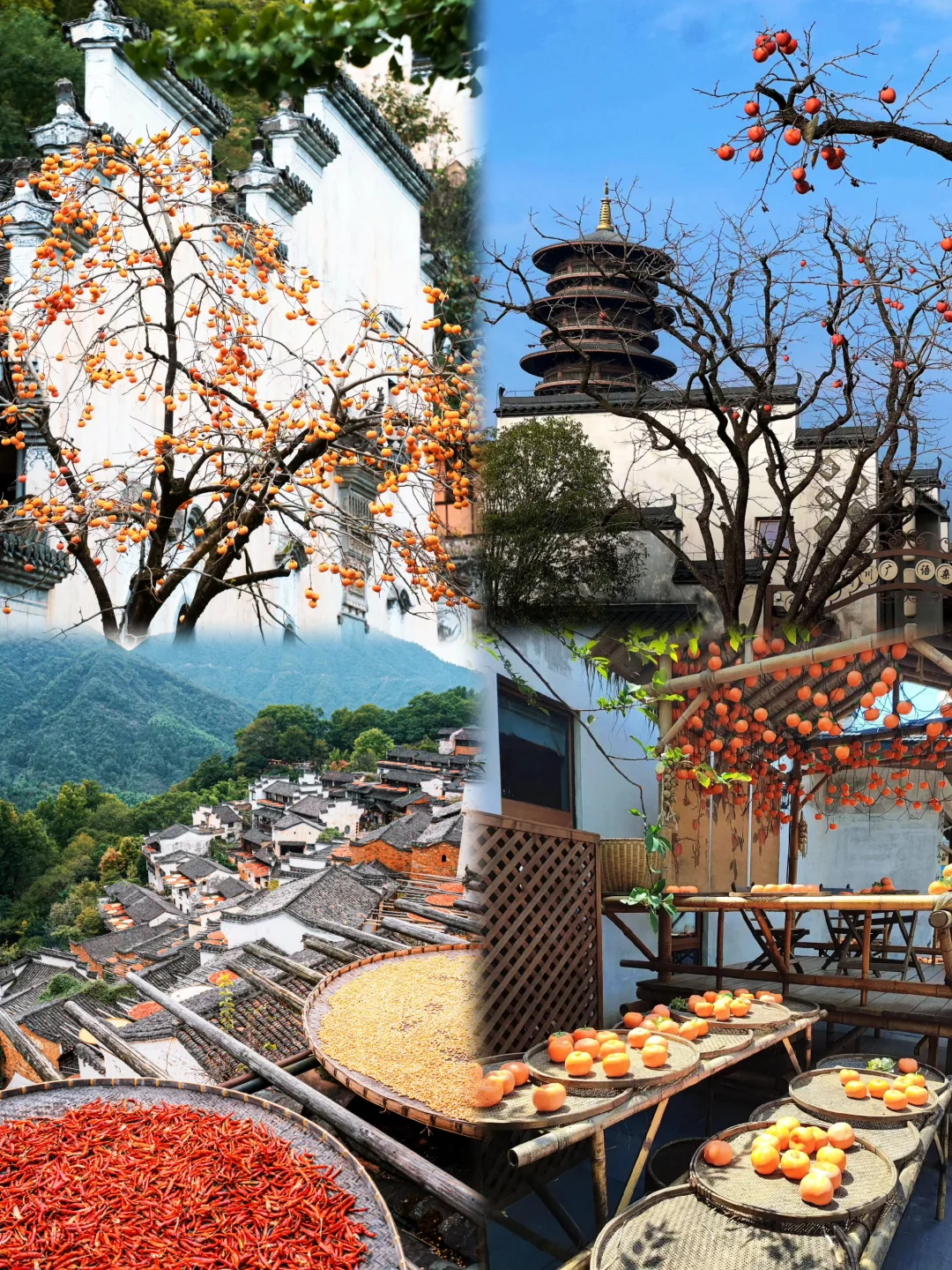 03女大📍婺源/三天二夜精华版旅游攻略❗️