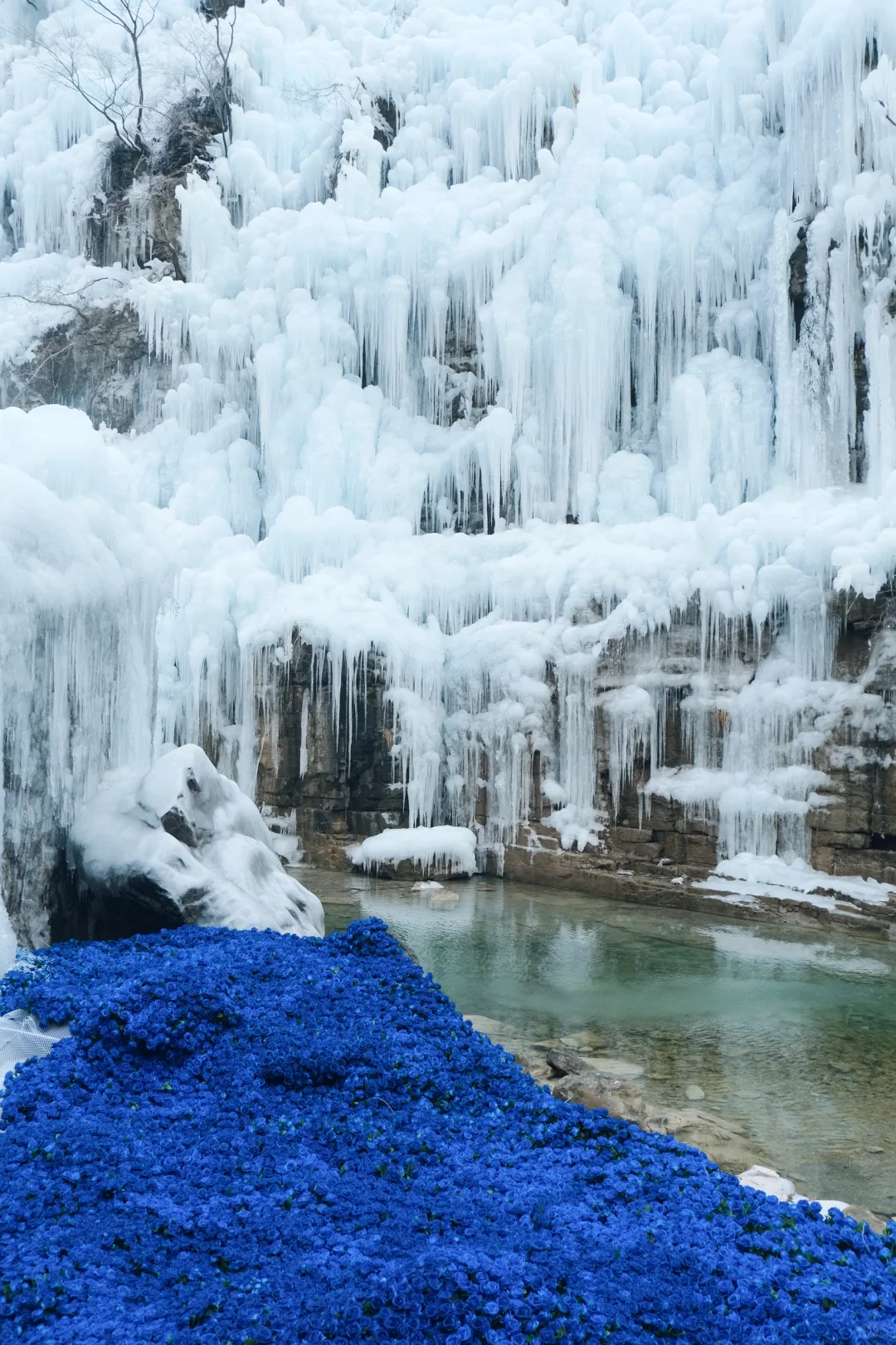 冬天不去看冰瀑布还能去看啥🤩