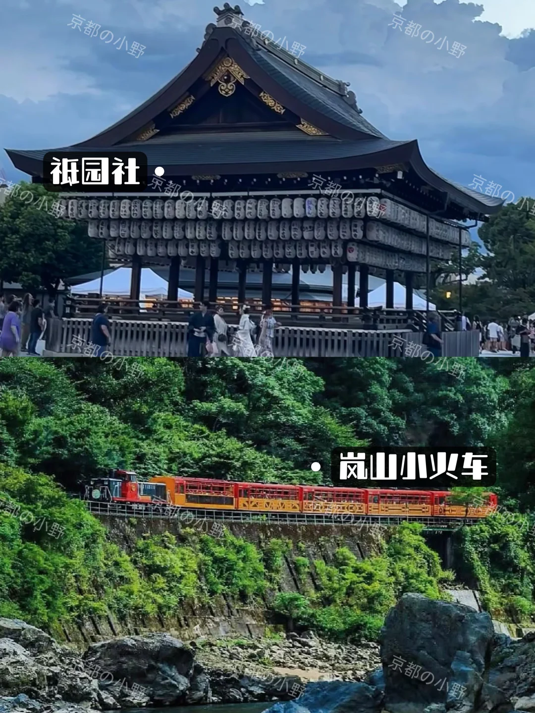 ⛩️攻略｜去了京都6次✈️一定要说的....