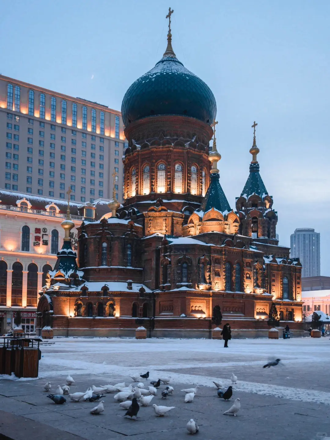 11-2月要来哈尔滨的存好这份懒人攻略‼️