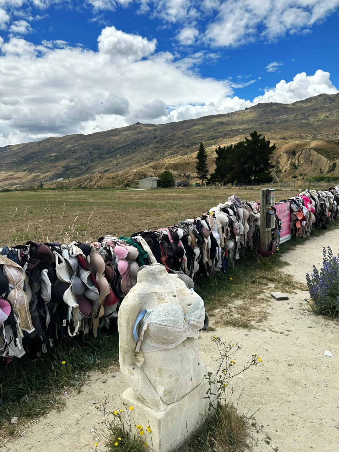 Cardrona bra fence