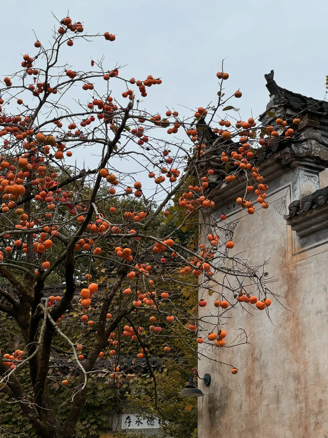 太原出发✈️不用请假过个周末（3/50） 📍江西