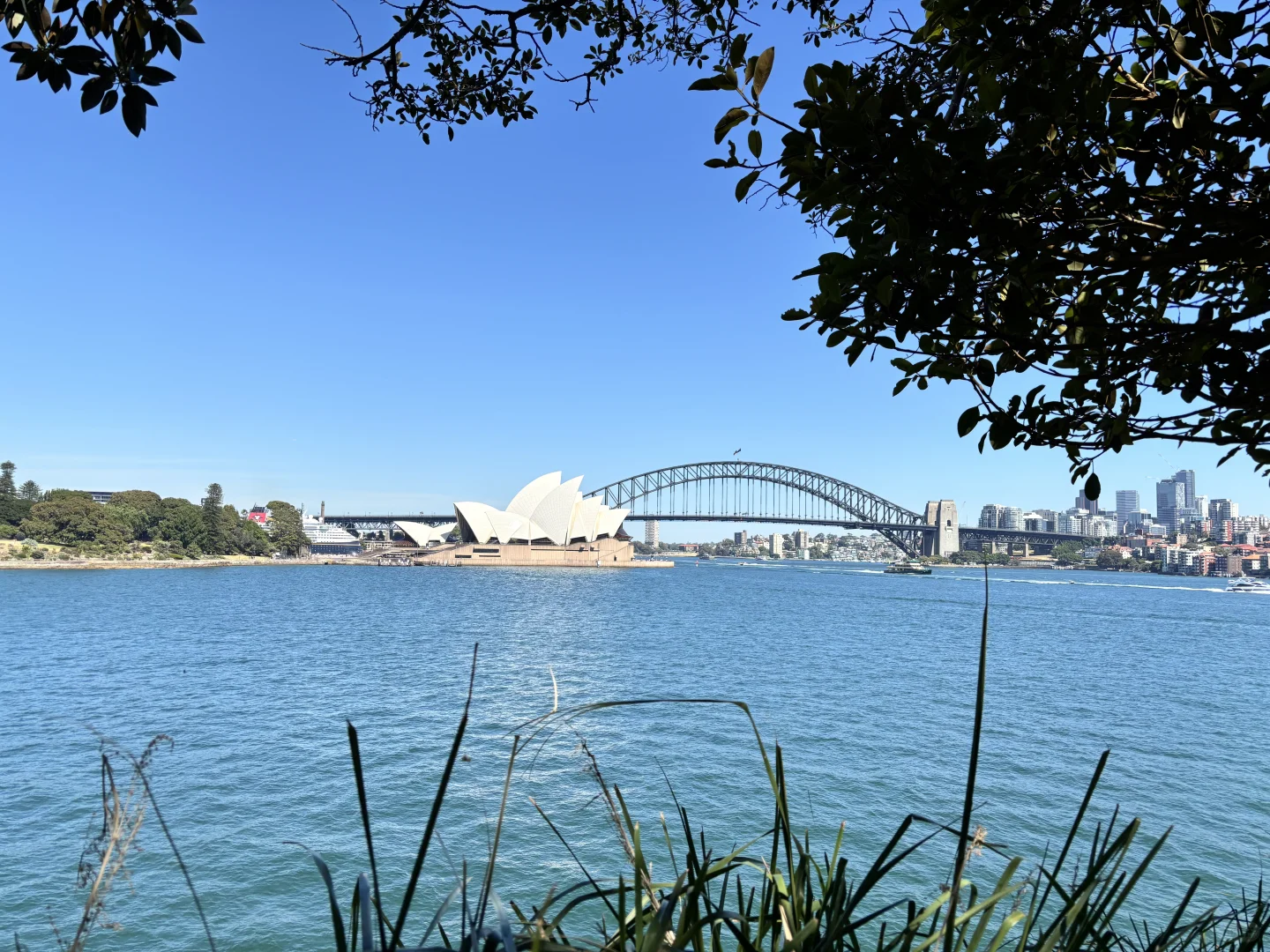 悉尼观光一日