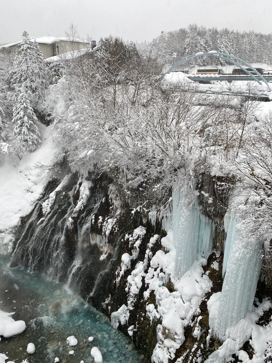 来一场北海道旅行