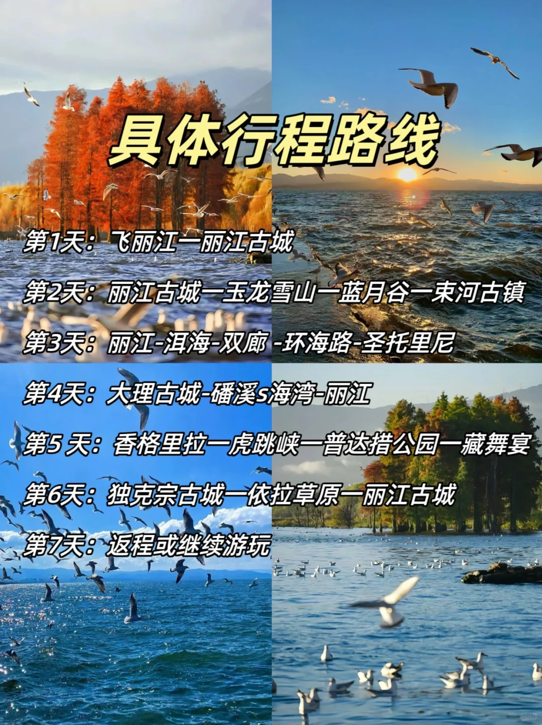 云南旅行七天六晚人均1800💰详细路线