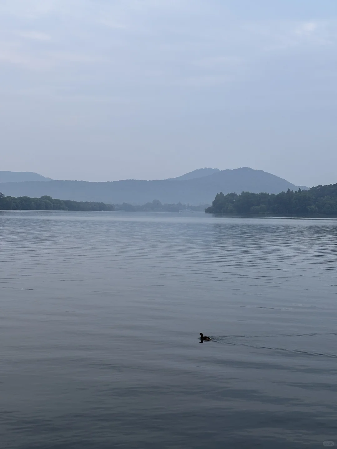 在西湖边溜达，自评6A级景区