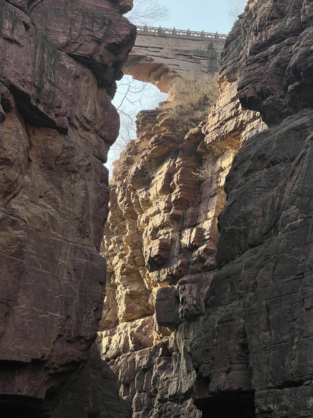 1月5日云台山风景实拍及相关攻略
