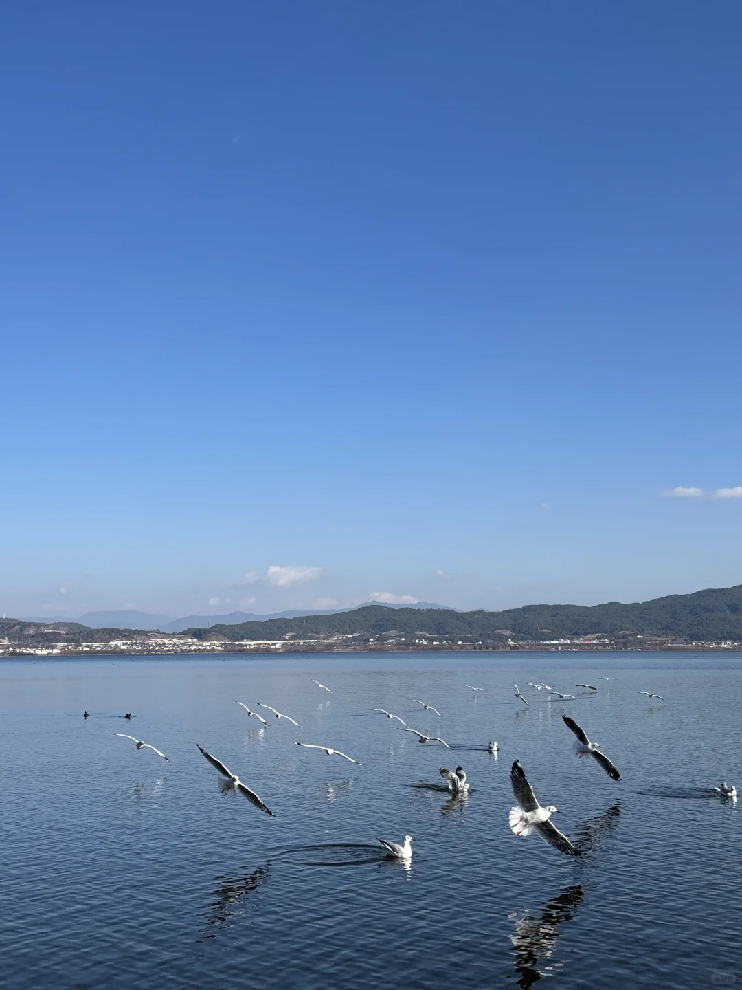 一人一周速通丽江-香格里拉