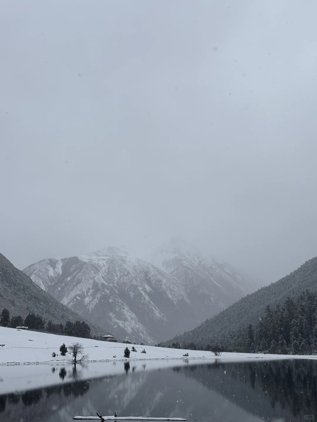 一人一周速通丽江-香格里拉