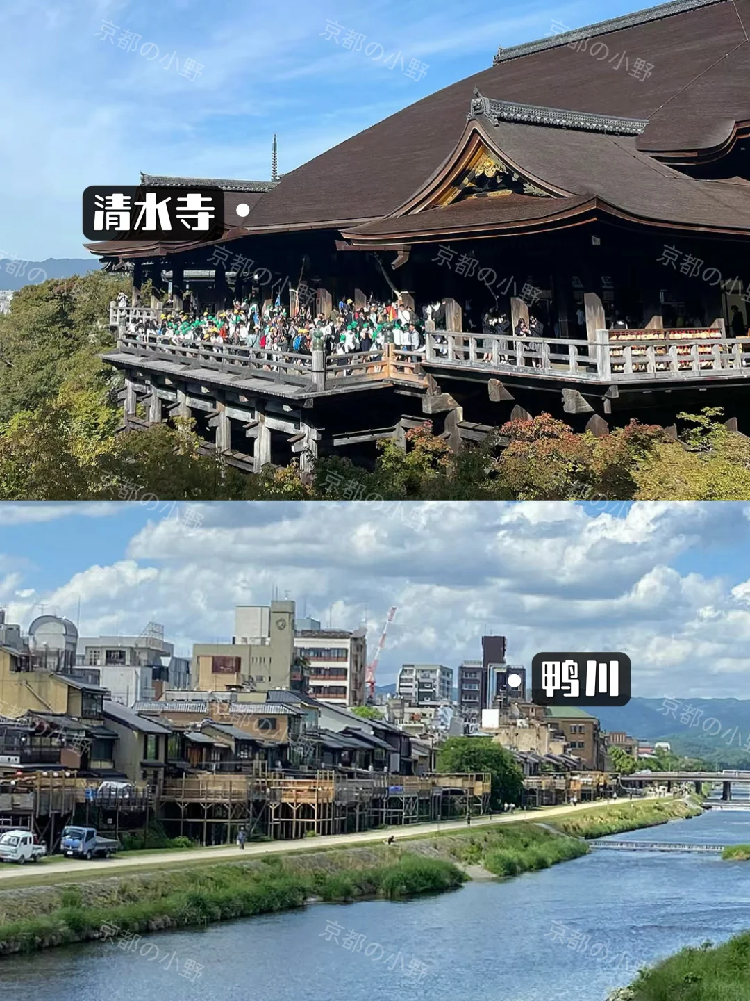 ⛩️攻略｜去了京都6次✈️一定要说的....