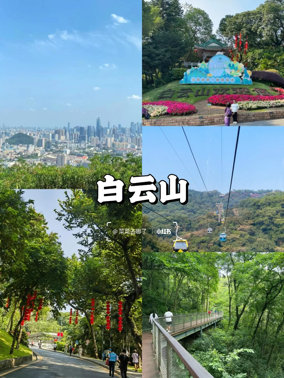 广州旅游丨不出市也有绝顶好玩的景点