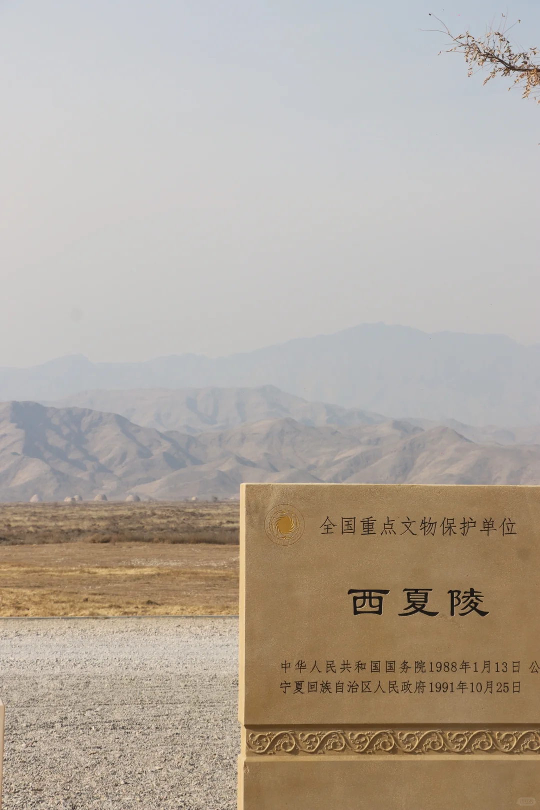 岁月失语：从历史长河中走出的西夏王陵