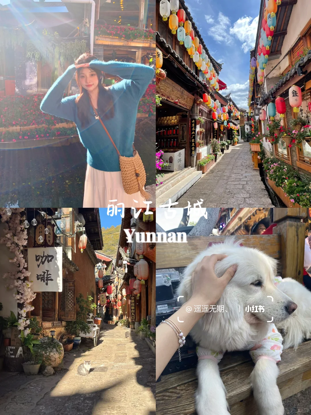 云南旅行👫七天花了2300💰真实感受