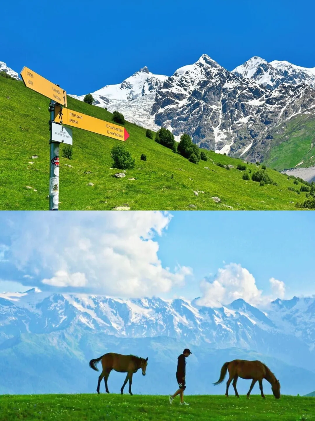 200元出国😱！格鲁吉亚15天才花了三千多💰