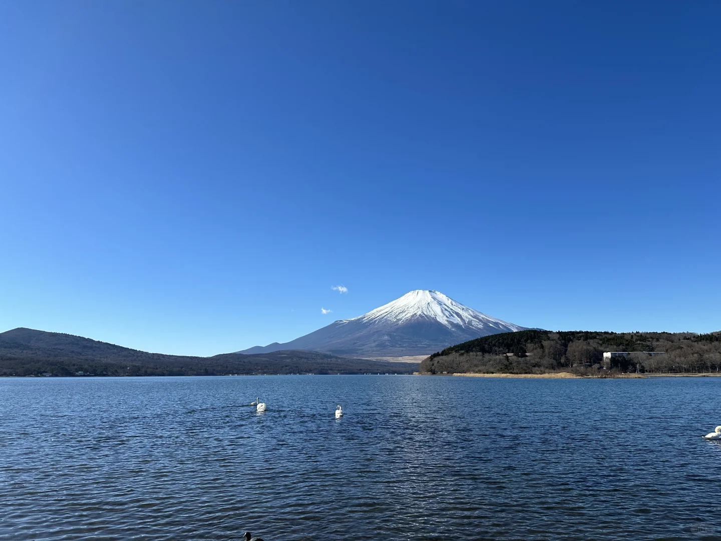 在富士山下听kpop