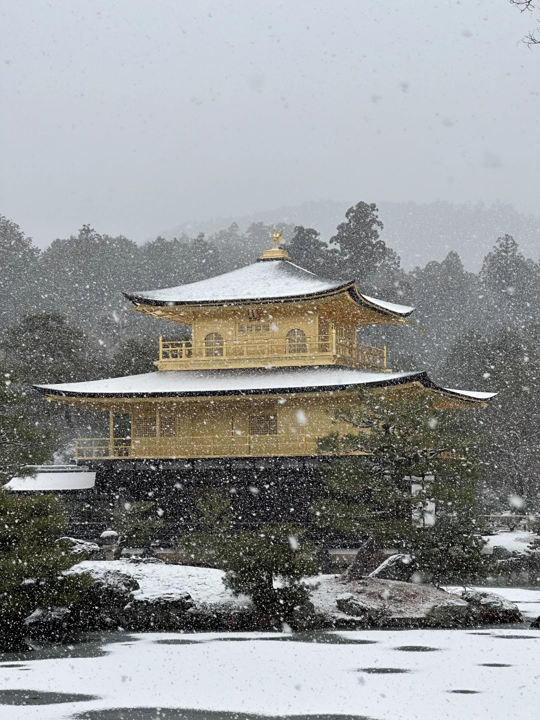 雪顶金阁寺❄️