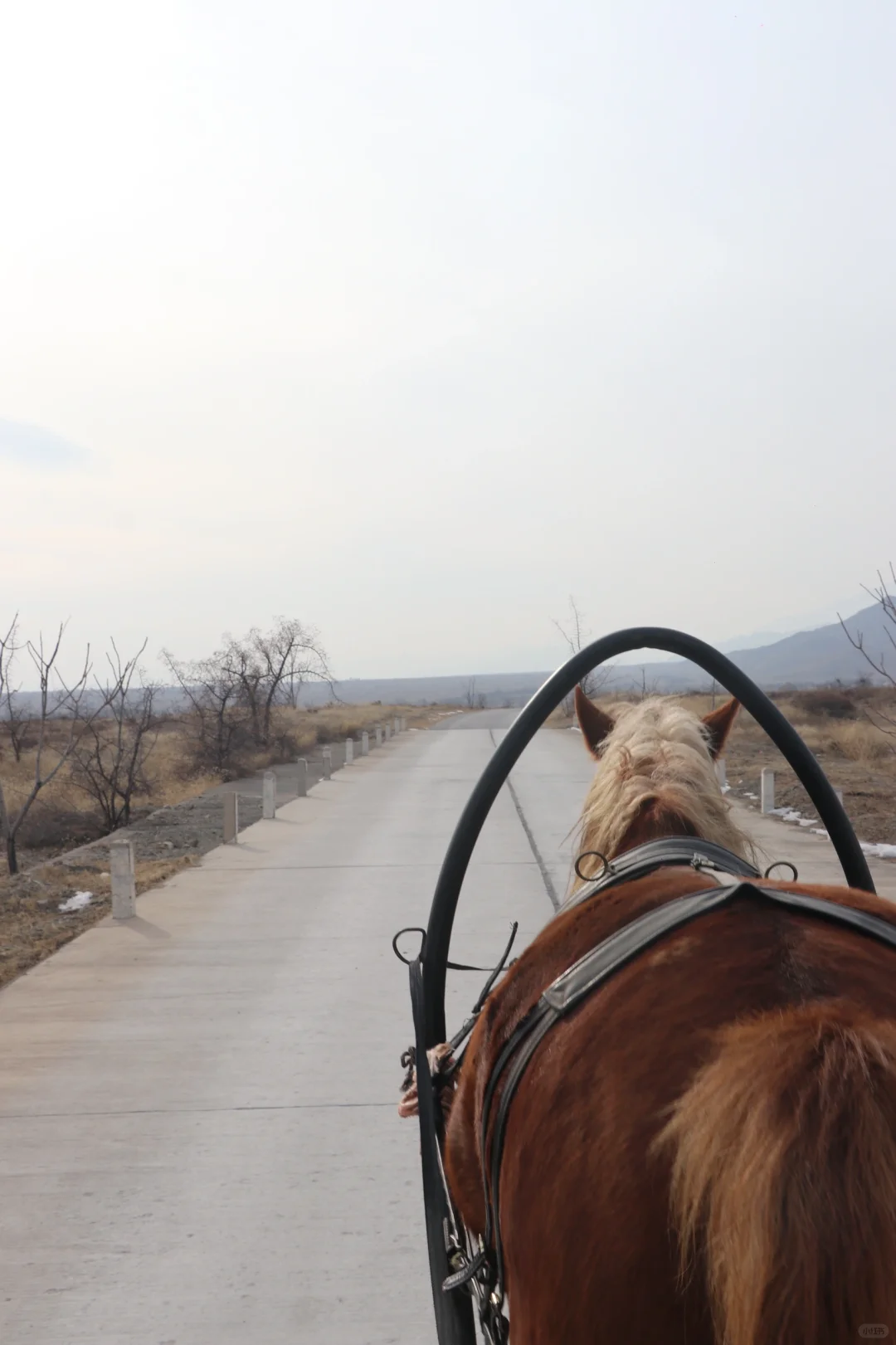 岁月失语：从历史长河中走出的西夏王陵