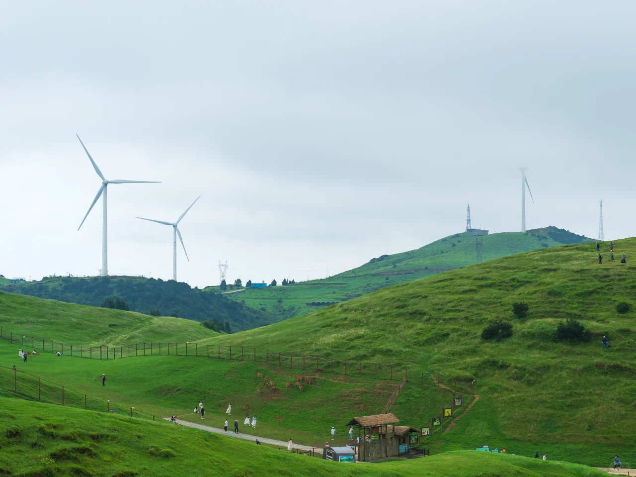 郴州旅拍日记①-仰天湖大草原