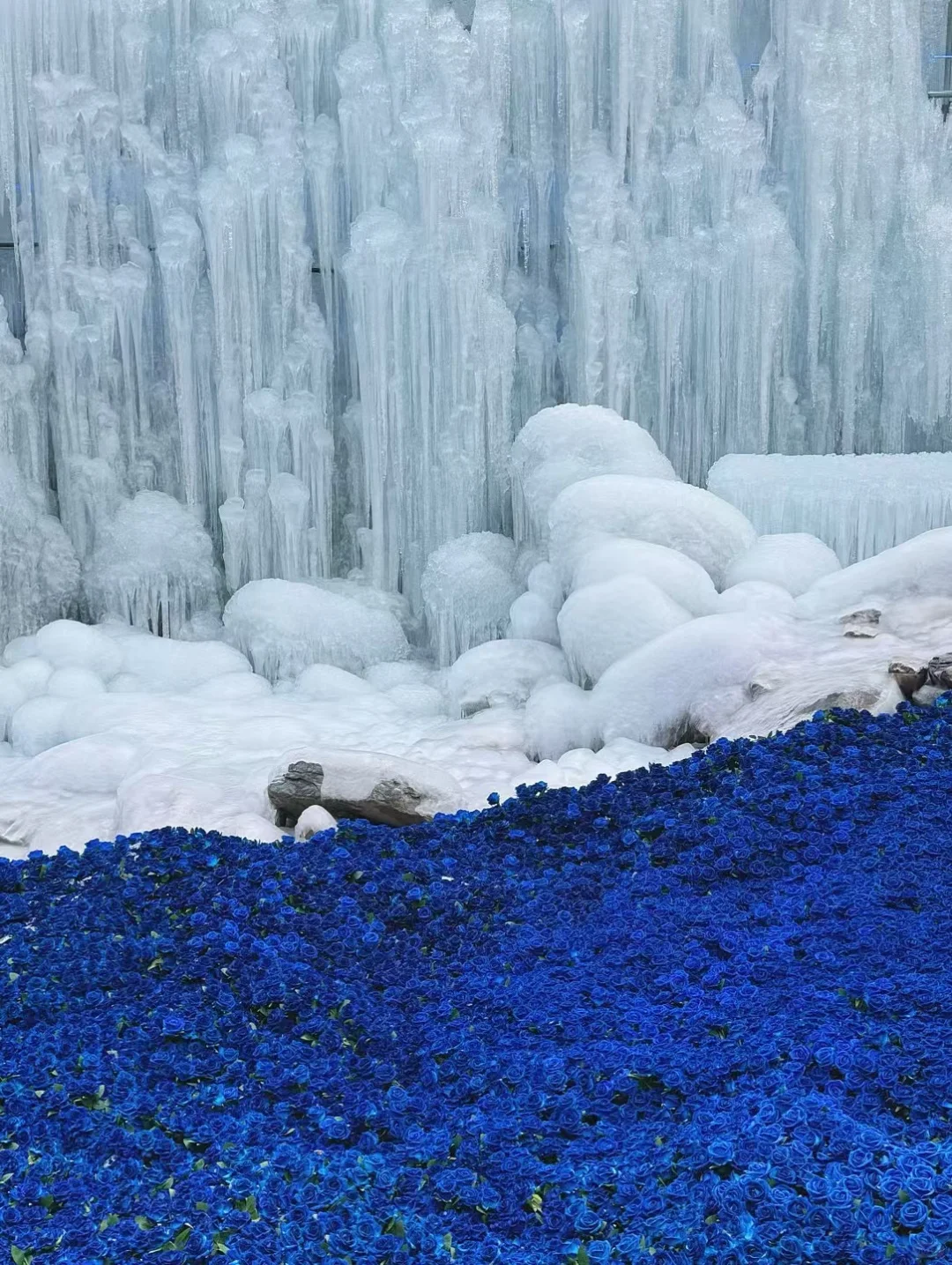 冬天不去看冰瀑布还能去看啥🤩