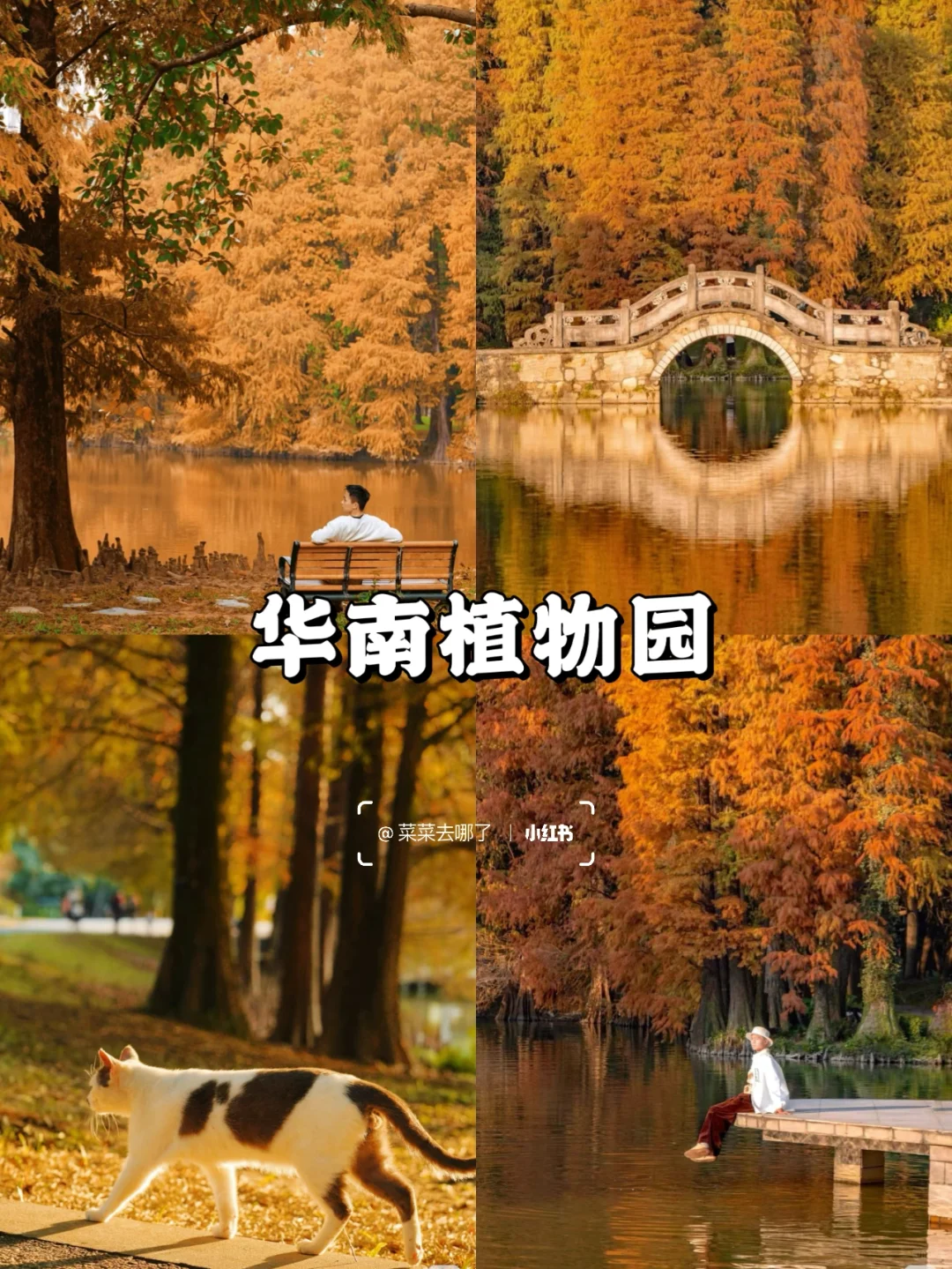 广州旅游丨不出市也有绝顶好玩的景点