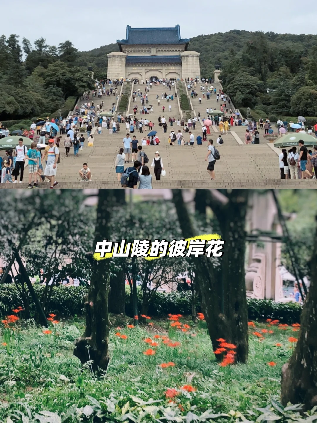 中山陵vs明孝陵vs美龄宫