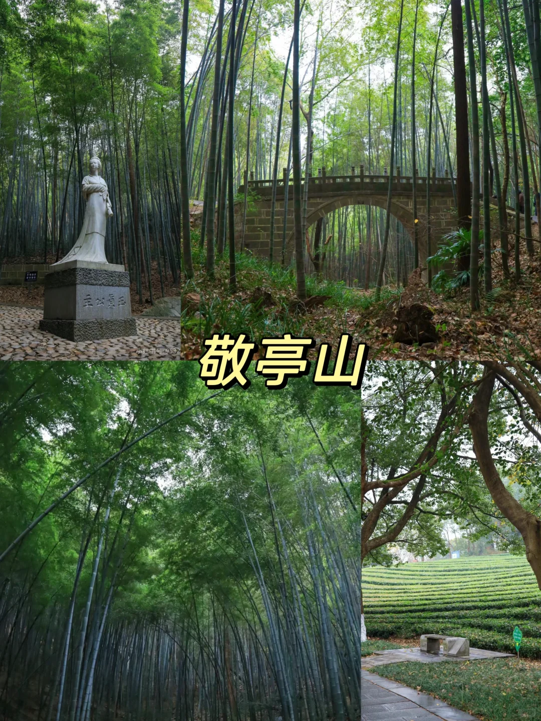 宣城本地人告诉你‼️皖南必去15大景点