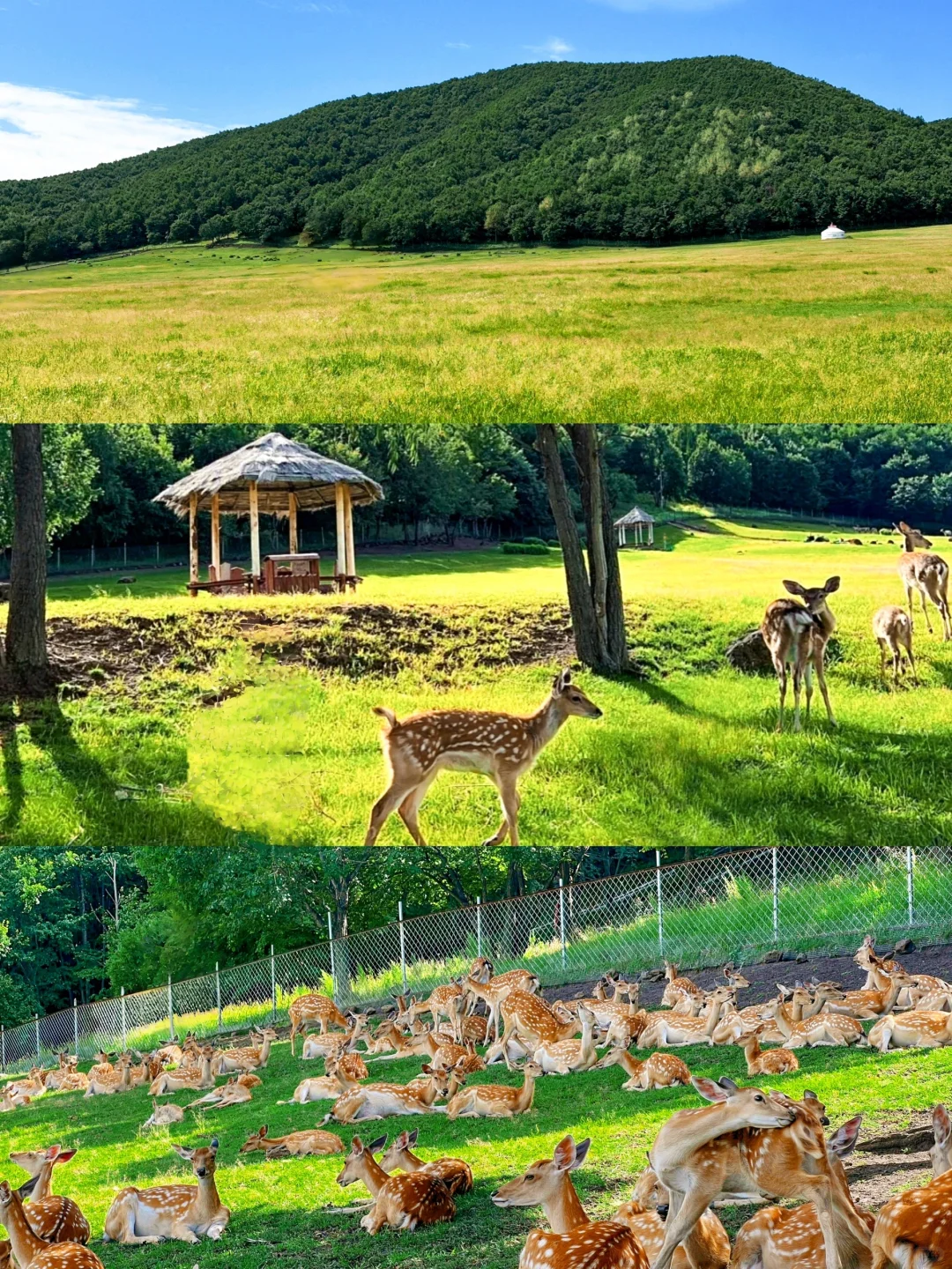 五大连池8️⃣个景区怎么选❓一篇说清楚