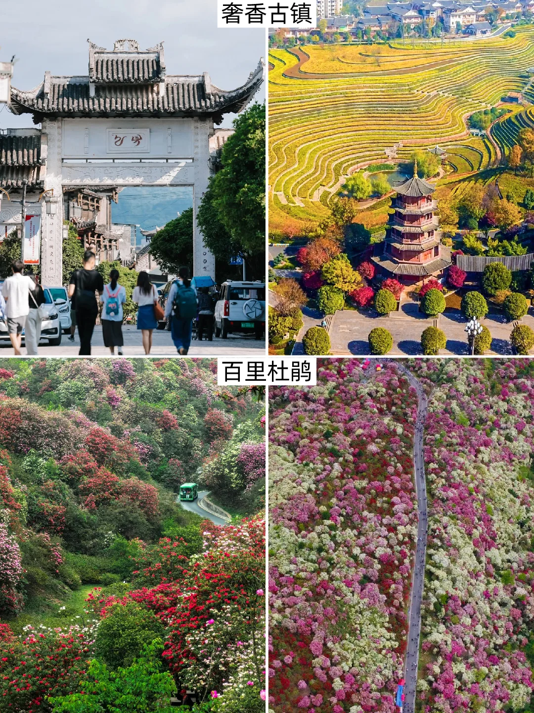 毕节，玩得也太花了吧！一半景点免费！