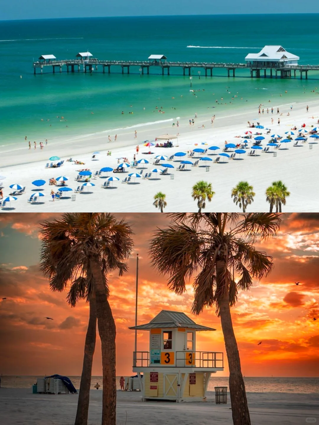 奥兰多必玩景点攻略都在这了！太全了！