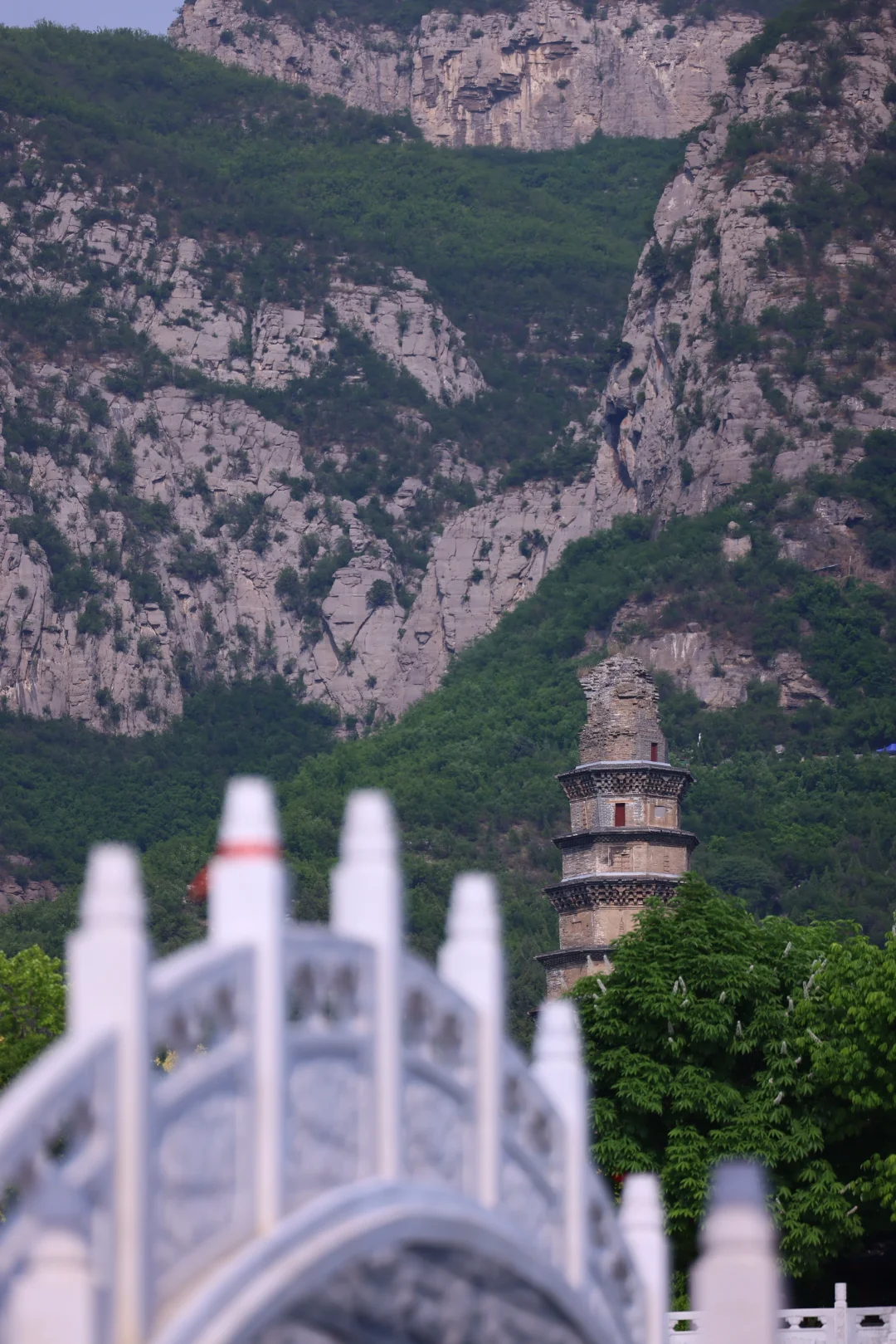 郑州出发｜带娃周末出游（3/20)📍邯郸太绝了