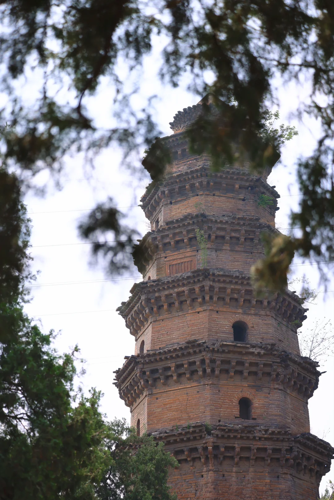 郑州出发｜带娃周末出游（3/20)📍邯郸太绝了