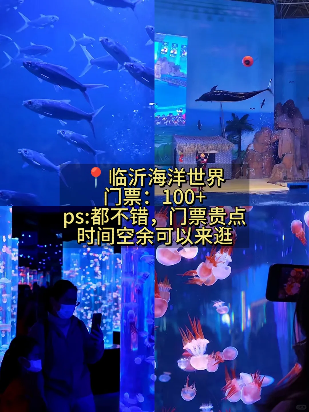 临沂游玩 这篇攻略就够啦👍 本地人整理