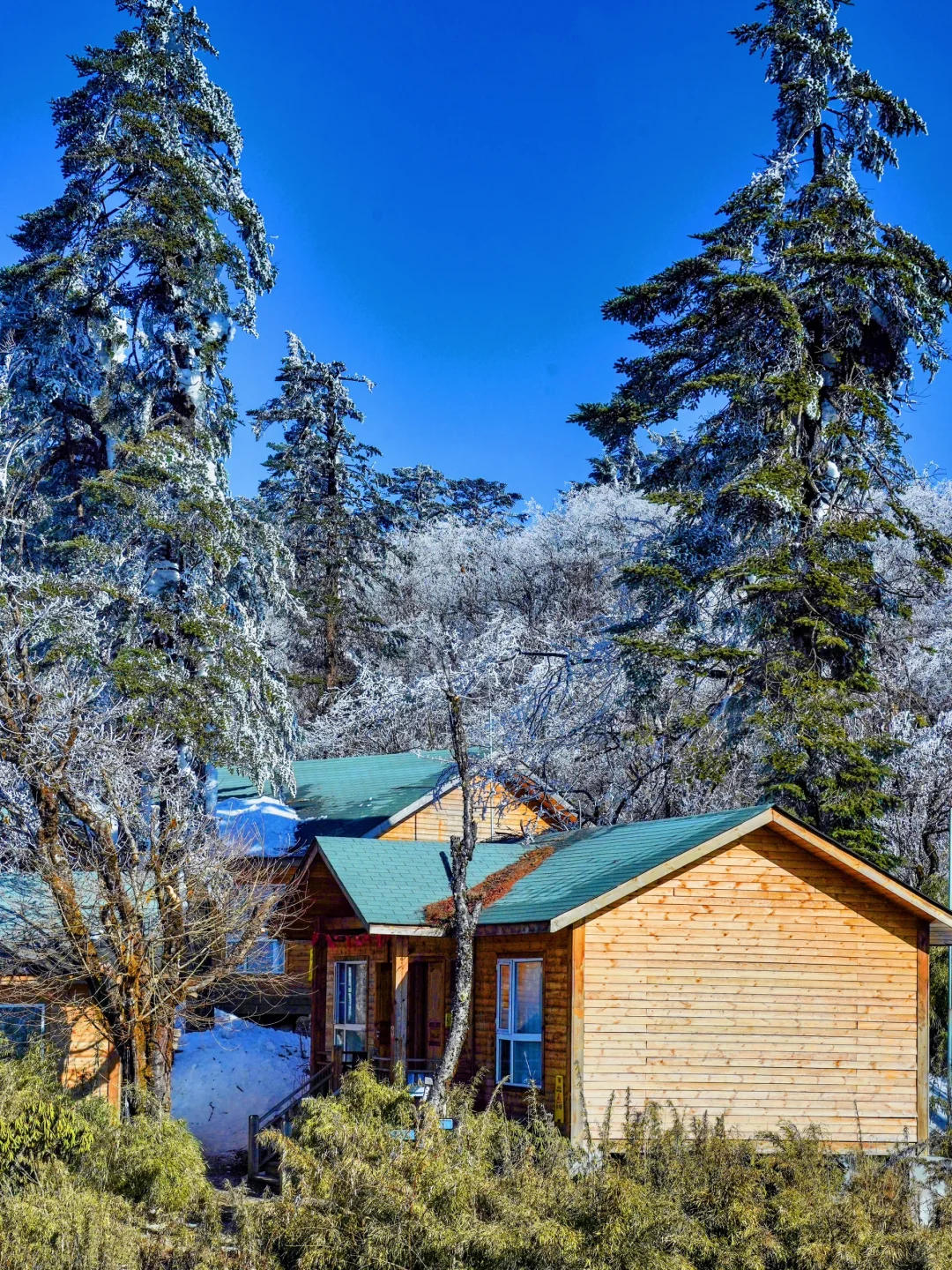 以为川西已经很美了，直到我来了这里……