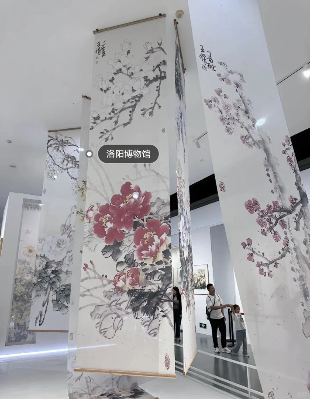 邯郸到洛阳自由行，来回车，住宿包了！