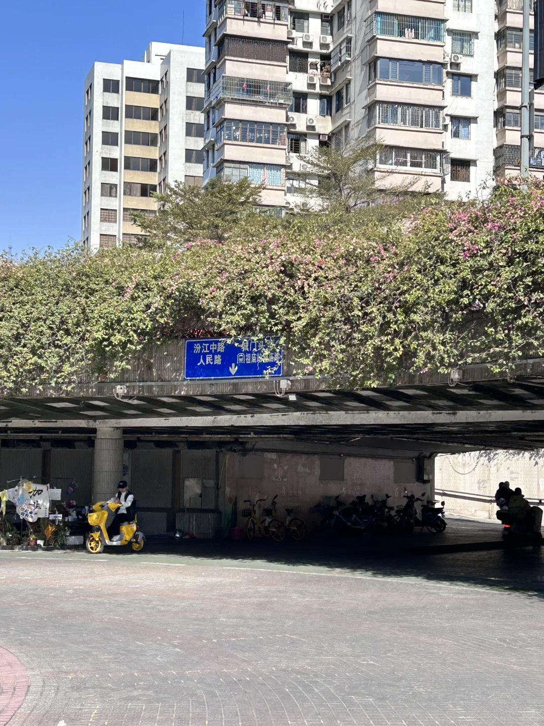 佛山真666！这么多年了终于有指示牌了。。。🤪