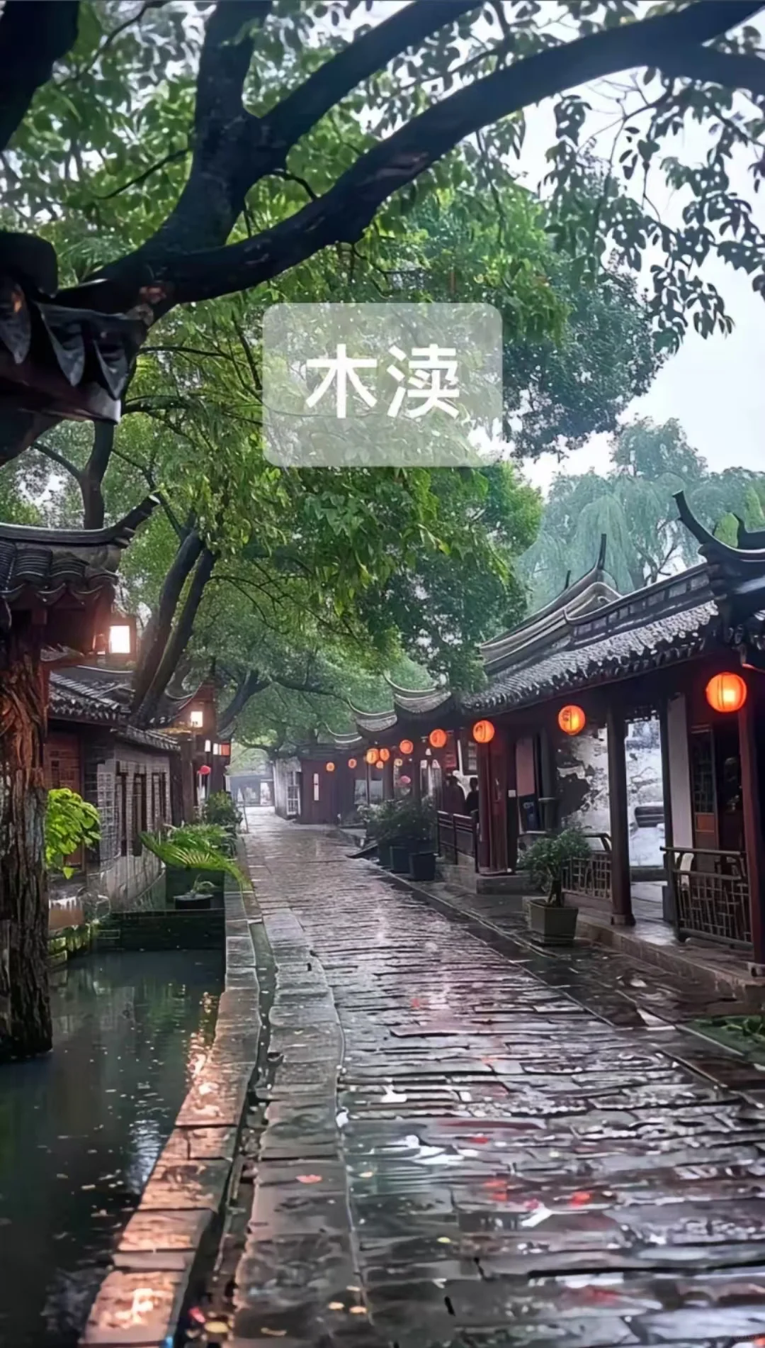 邯郸到南京苏州无锡杭州上海乌镇西湖