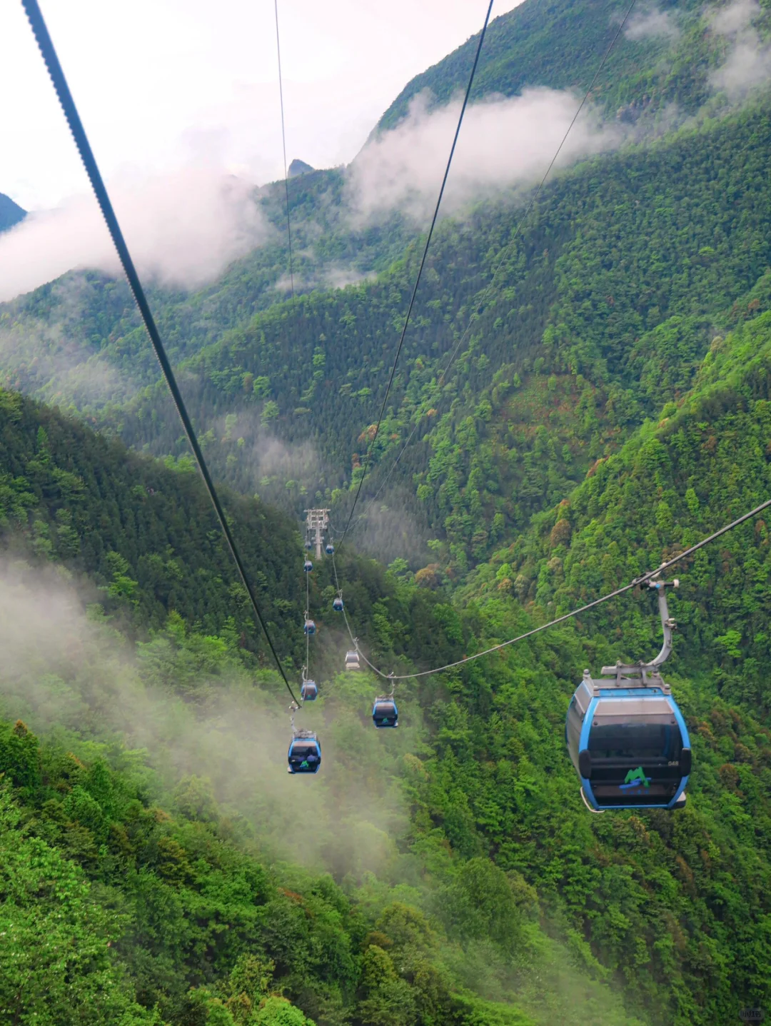 一张图·看懂郴州莽山五指峰景区（附攻略）