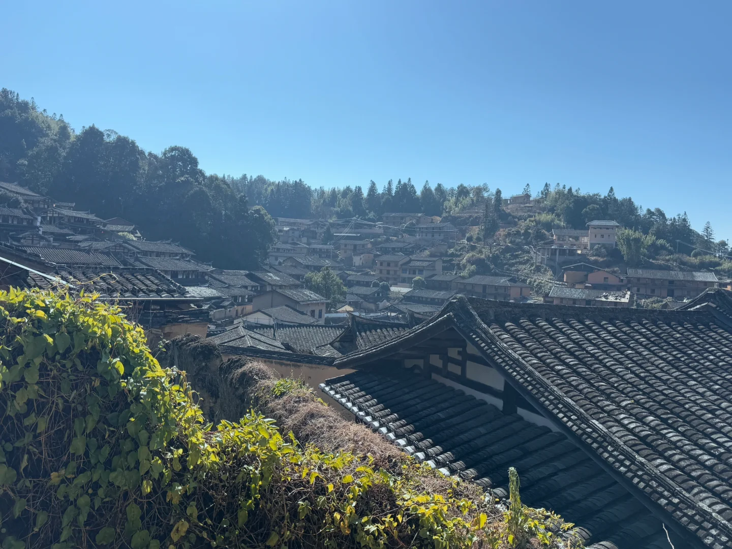 桂峰古村落景区